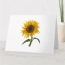 Search for sunshine flower cards Watercolor