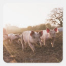 Search for hybrid stickers Animal