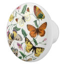 Recherche de insecte boutons et poignées de porte Entomologie