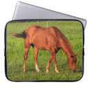 Search for grass laptop cases Pasture