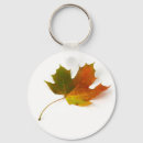 Search for changing seasons keychains Autumn