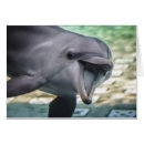 Recherche de image de dauphin cartes postales Vie marine