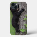 Search for cades cove electronics Black bear