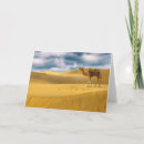 Search for india cards Rajasthan