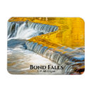 Search for fall leaf magnets October