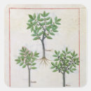 Search for herbalism stickers Healing