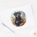 Search for rottweiler stickers Pumpkin