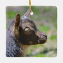 Search for baby goat ornaments Country