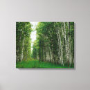 Search for birch tree canvas prints Green