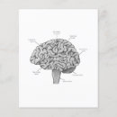 Recherche de psychologue prospectus Psychologie