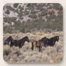 Recherche de mustang dessous de verres Groupe