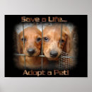 Search for pets life posters Animal