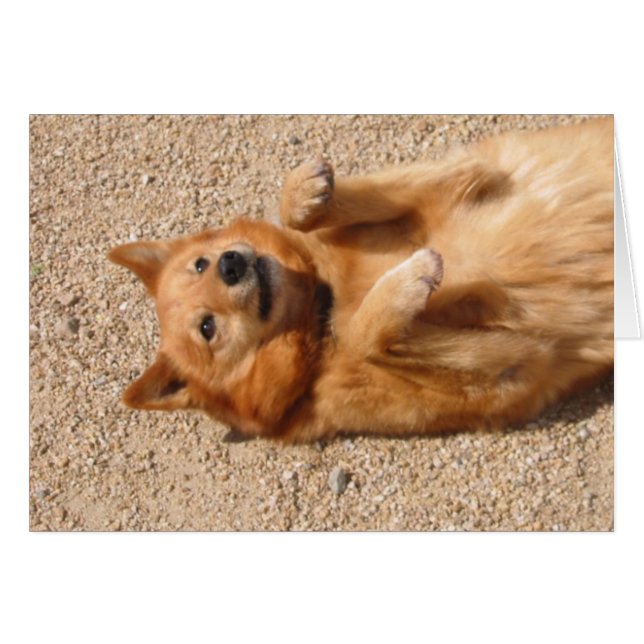 0006Copper belly rub (Front Horizontal)