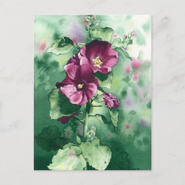 0007 Carte postale Hollyhocks de Dorothy (Devant)