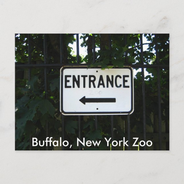 001, Buffalo, New York Zoo Postcard (Front)