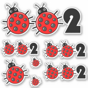 🐞002, Cute pickleball ladybird set of 
