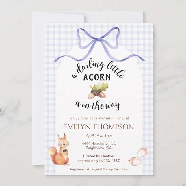 005 Iris Cute Squirrel Acorn Gingham Baby Shower Invitation (Front)