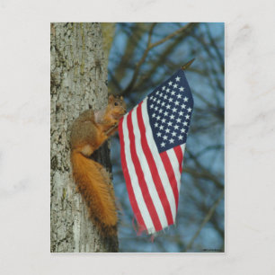 010510-4-APC ONE PATRIOTIC SQUIRREL POSTCARD