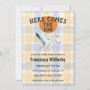 010 Amber Watercolor Plaid Stork Boho Baby Shower Invitation