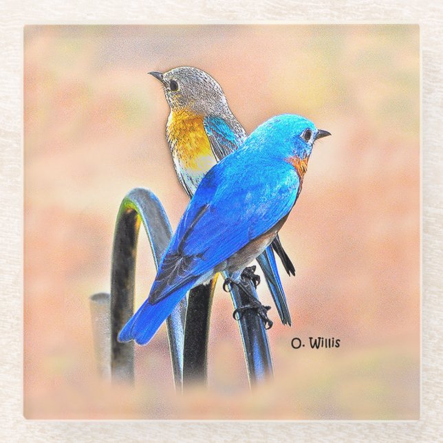010 Bluebird Love 4x4 Glass Coaster (Front)