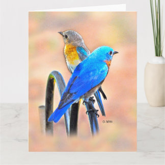 010 Bluebird Love Big Card 8.5x11 Matte
