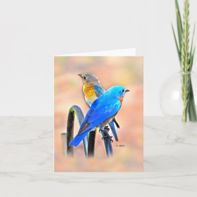 010 matte de la carte de note d'amour d'oiseau (Devant)