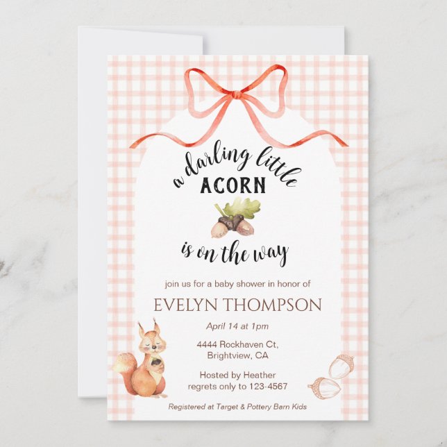 011 Terracotta Squirrel Acorn Gingham Baby Shower Invitation (Front)