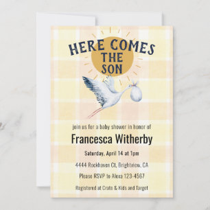 015 Lemon Watercolor Plaid Stork Boho Baby Shower Invitation