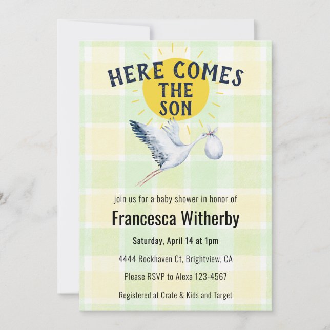 017 Moss Gingham Plaid Stork Boho Baby Shower Invitation (Front)