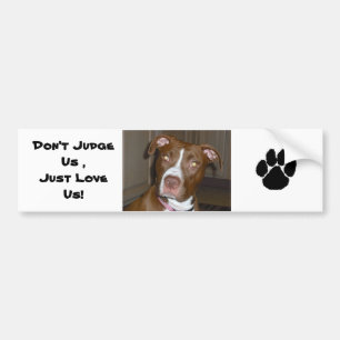 019 (1) perfect puppy pic of Brandy Bumper Sticker
