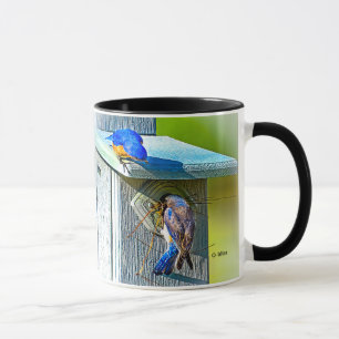020 Bluebird Nesting 11 oz Classic Mug