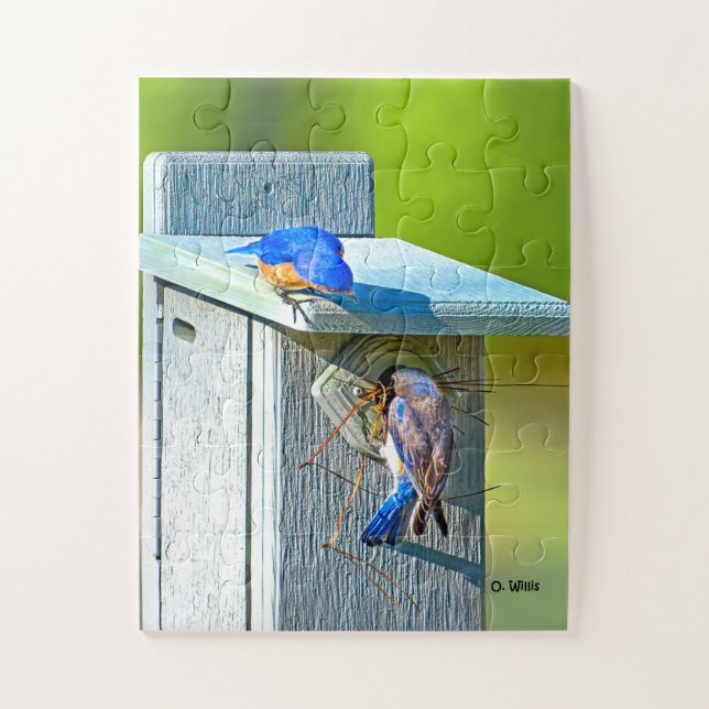 020 enfants du puzzle 11x14 d'emboîtement d'oiseau (Vertical)