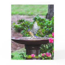 030 Bluebird Bath Big Card 8.5x11 Matte