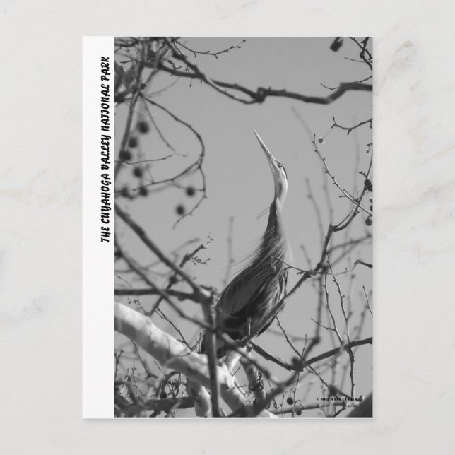 040510-9-APC POSTCARD (Front)