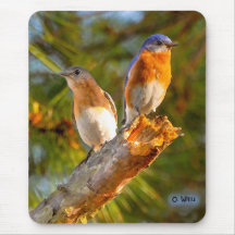 040 Bluebird Courtship 7.75x9.25 Mouse Pad