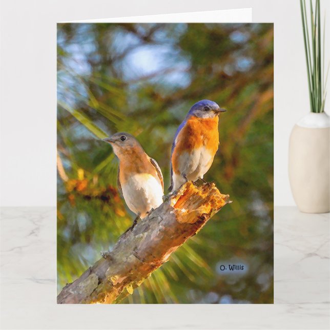 040 Bluebird Courtship Big Card 8.5x11 Matte (Front)