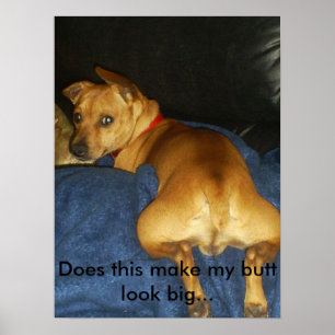 042, Does this make my butt look big... Poster