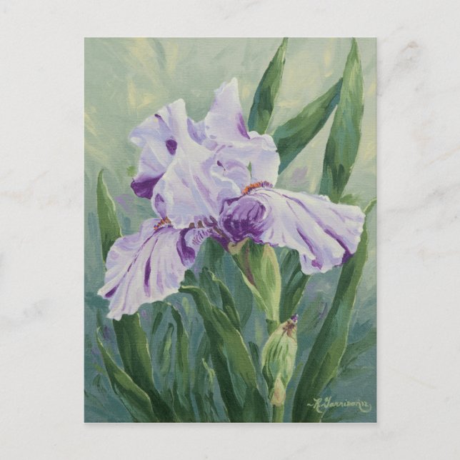 0440 Purple Streaked Iris Carte Postale (Devant)
