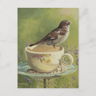 0470 Sparrow Postcard