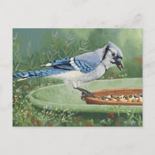 0481 Jay bleu à la carte postale d'alimentation
