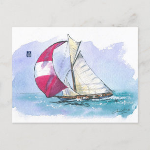 (049) Racing Sloop Sailboat Postcard