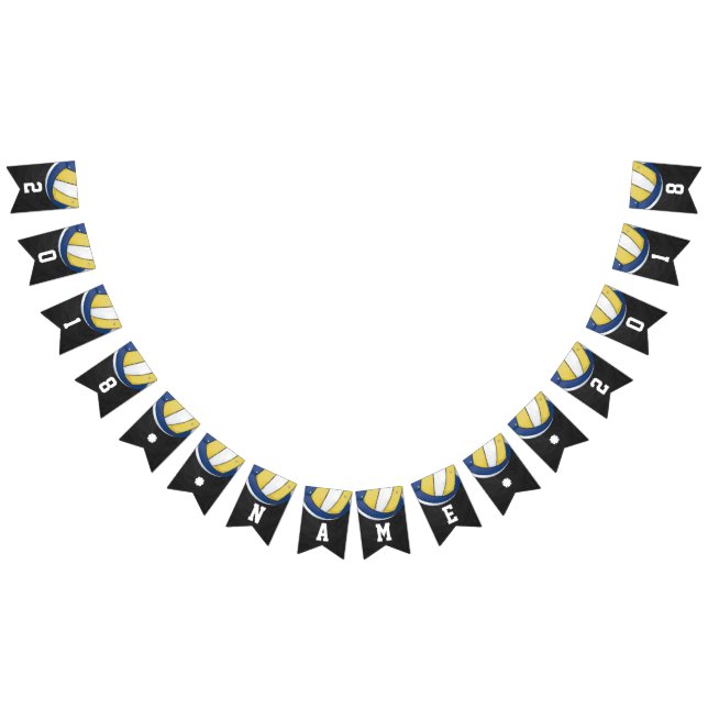 04of12 Volleyball Themed Party Bunting Flags (All)