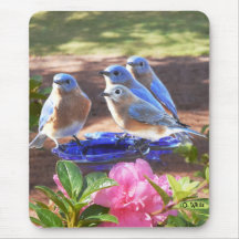 050 Bluebirds Forever 7.75x9.25 Mouse Pad