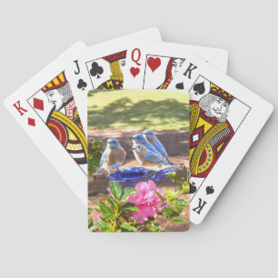 050 Bluebirds  Forever Playing Cards