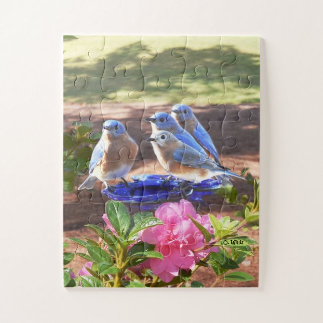 050 Bluebirds Forever Puzzle 11x14 Kids (Vertical)