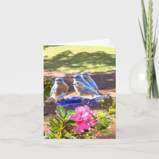 050 d'oiseaux bleus matte de la carte de note pour (Devant)