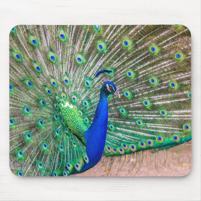 0601-Peacock Mouse Pad (Front)