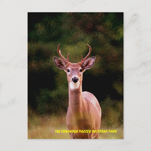 070306-34-APC POSTCARD (Front)