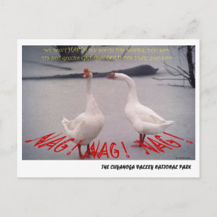 072506-10-APC NAG, NAG, NAG POSTCARD