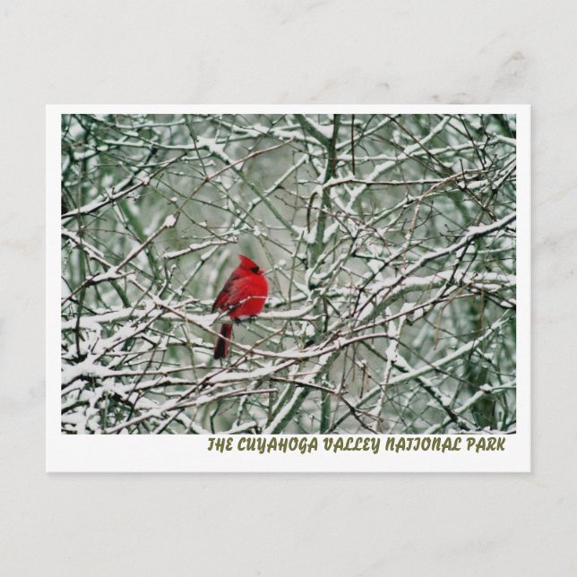 080806-25-APC POSTCARD (Front)